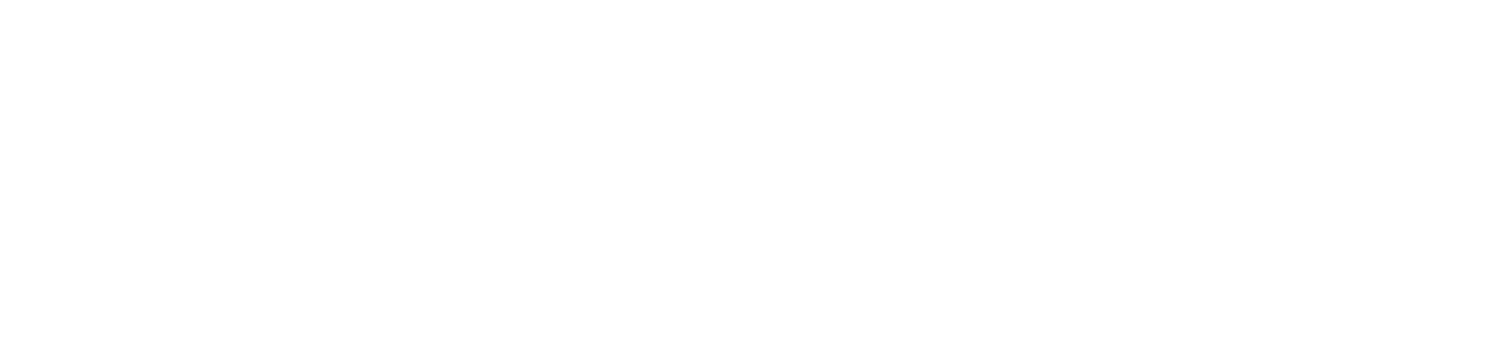 CHASSEUR 